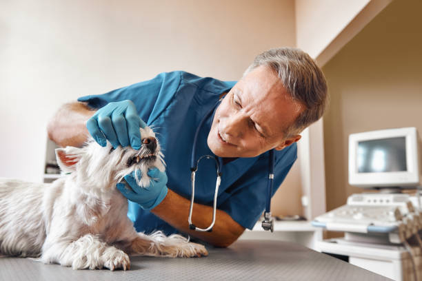 Best Urgent Dental Care in Hughes Springs, TX